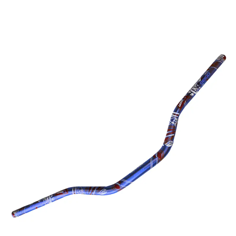TIMON GEICO